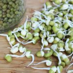 فواید ماش در بارداری