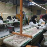 راه اندازی خط تولید بسته بندی حبوبات